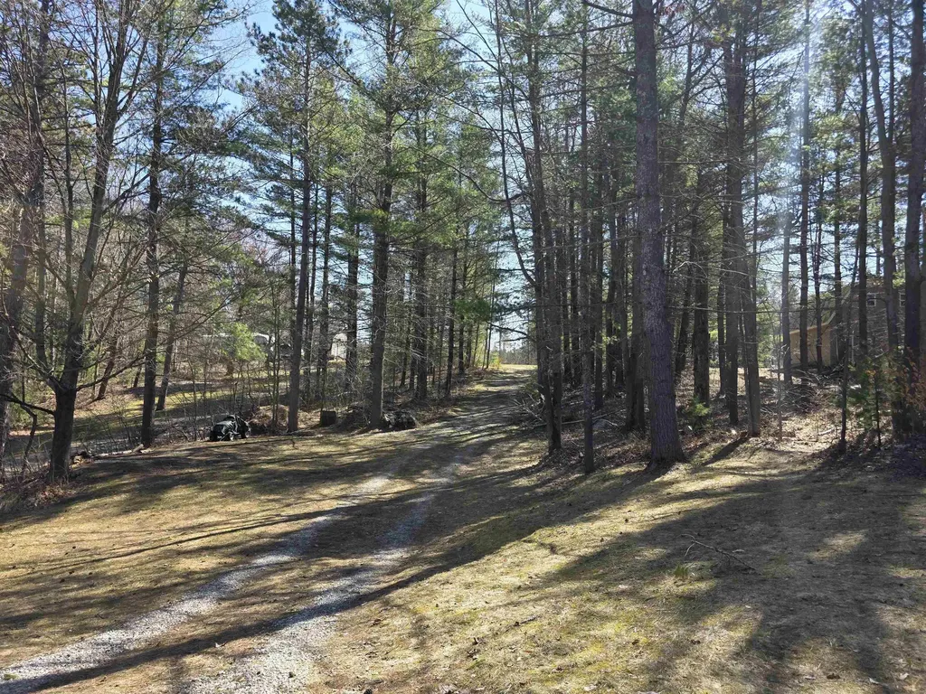 9269 Gedman Road Blue Lake Township MI 49659