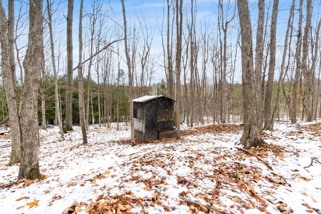 130 S Peninsula South Arm Township MI 49727