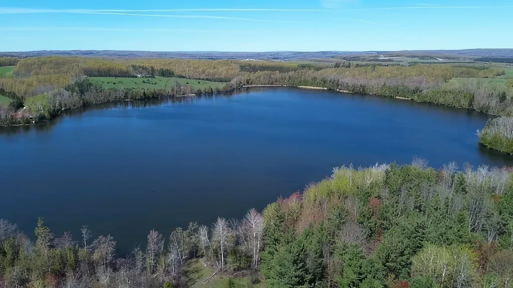 130 S Peninsula South Arm Township MI 49727