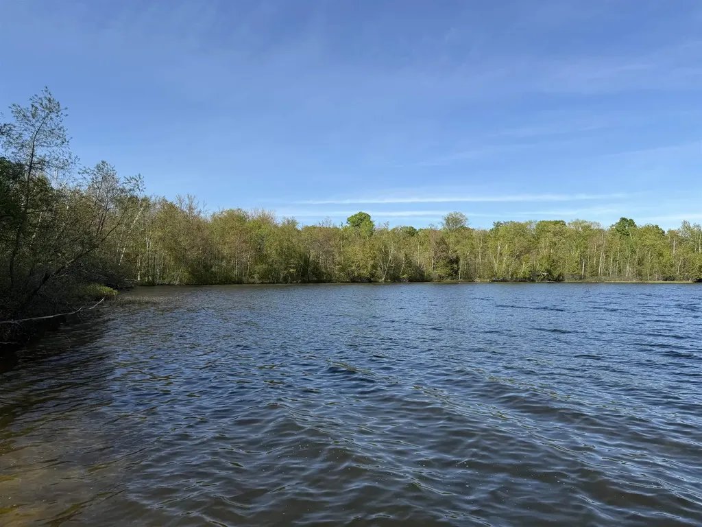 6296 Reynolds Road Almira Township MI 49650