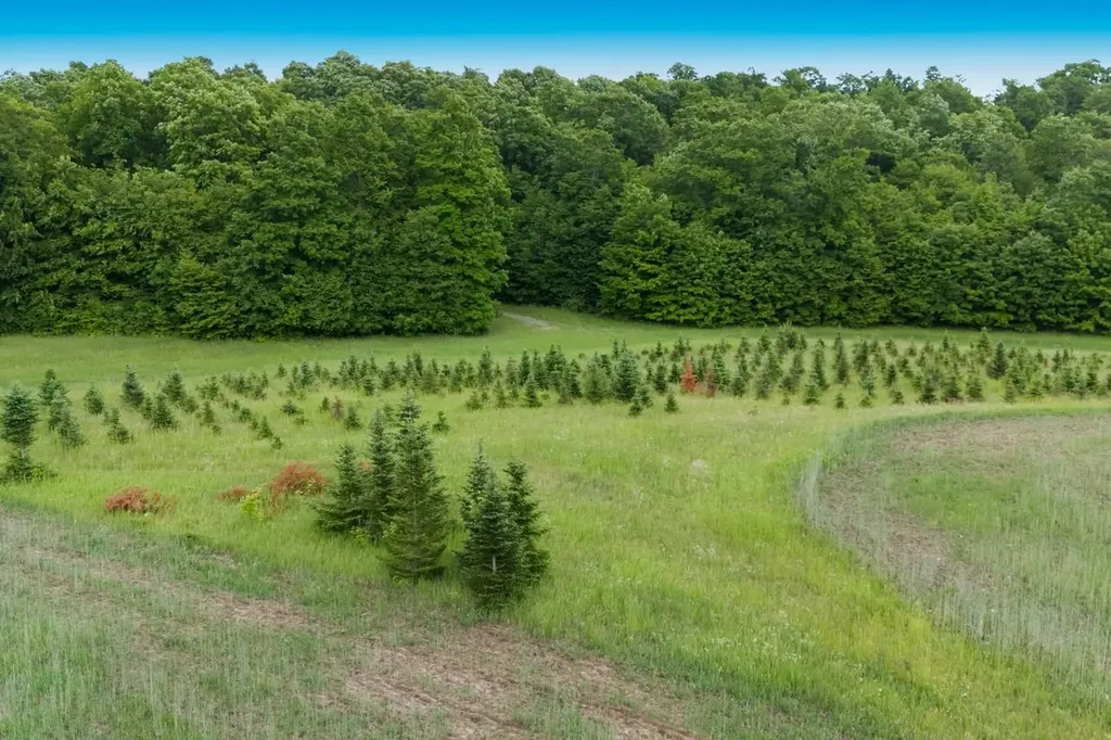 1551 N Macksey Road Suttons Bay Township MI 49682