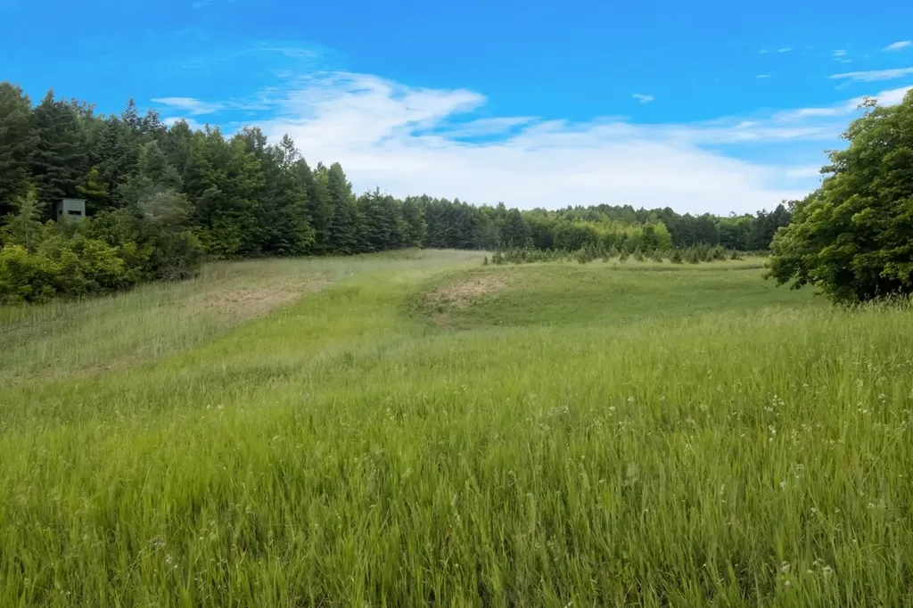1551 N Macksey Road Suttons Bay Township MI 49682