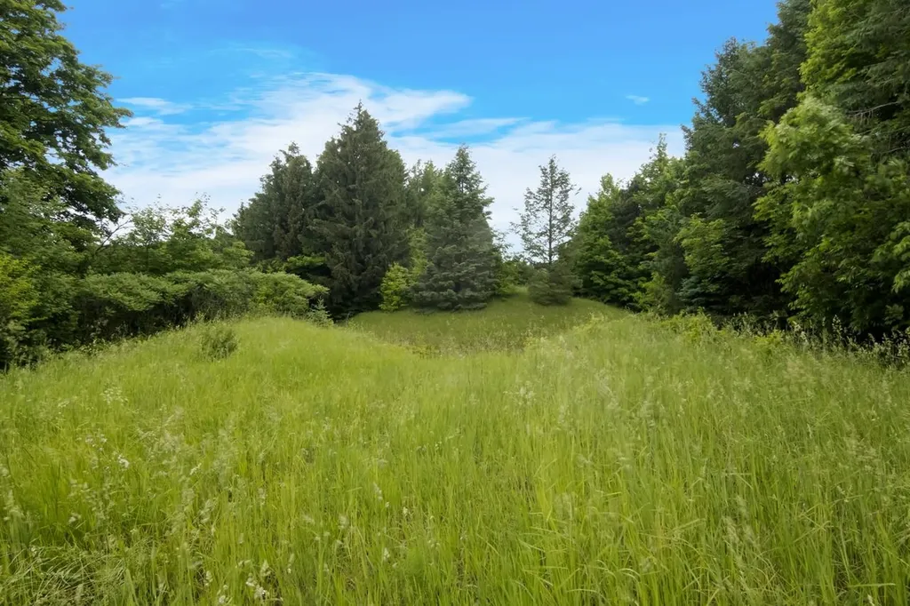 1551 N Macksey Road Suttons Bay Township MI 49682