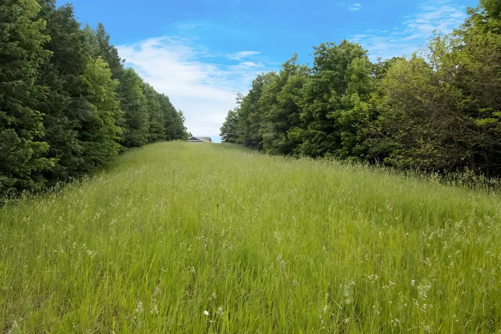 1551 N Macksey Road Suttons Bay Township MI 49682