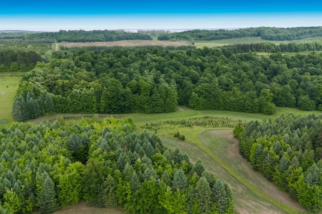 1551 N Macksey Road Suttons Bay Township MI 49682