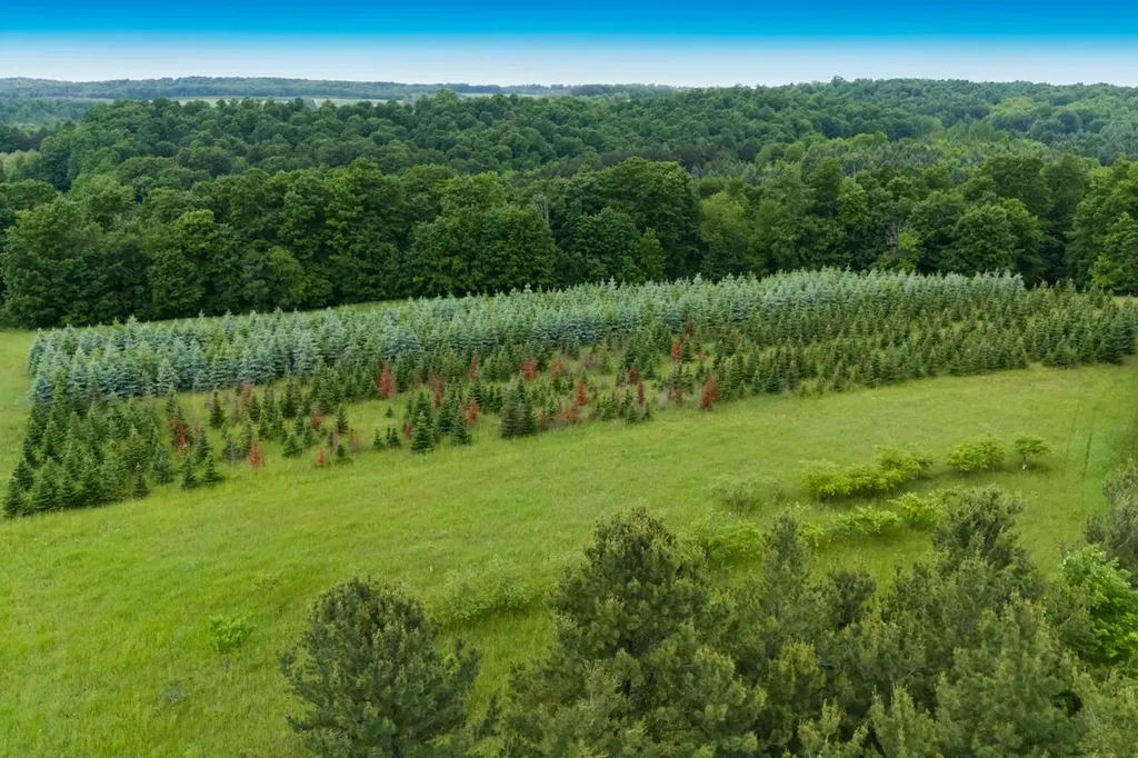 1551 N Macksey Road Suttons Bay Township MI 49682