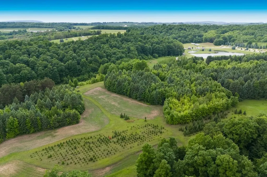 1551 N Macksey Road Suttons Bay Township MI 49682