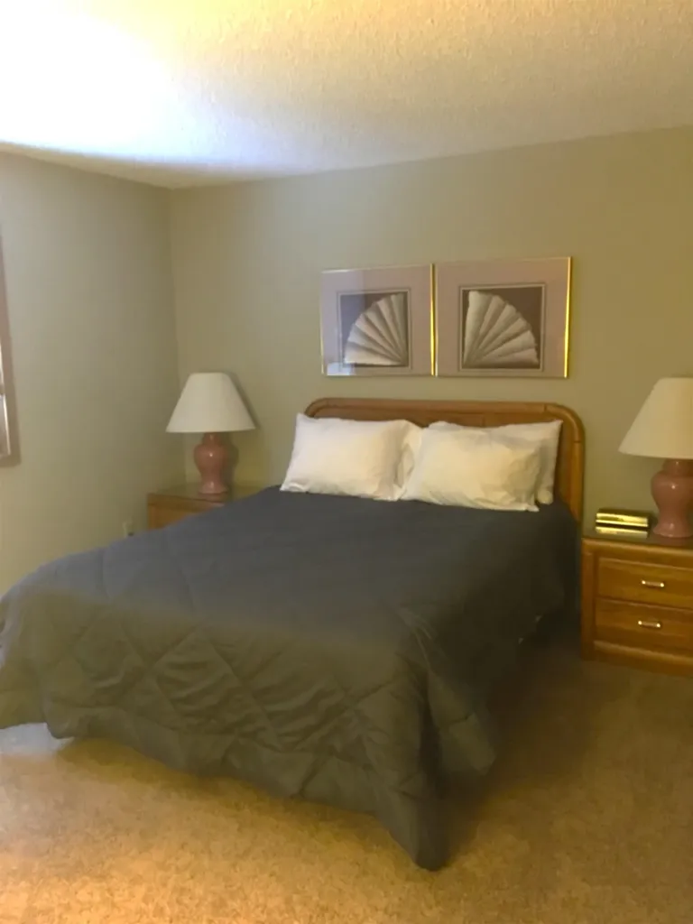 6865 Pinebrook Drive Custer Township MI 49615