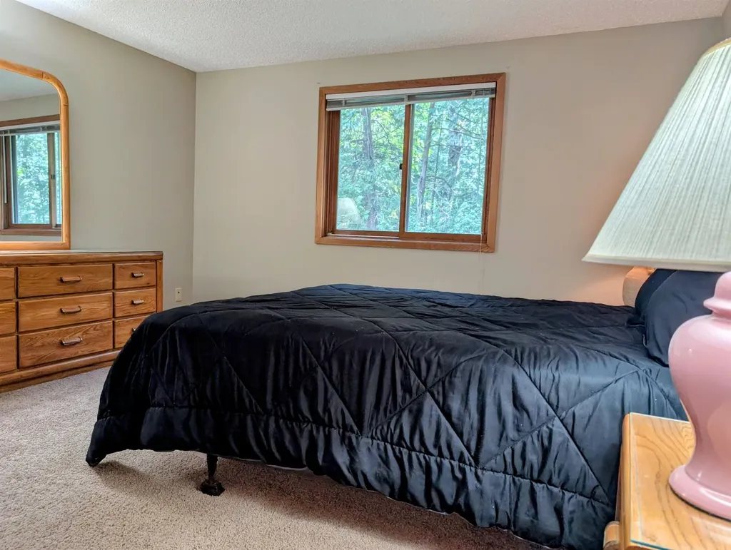 6865 Pinebrook Drive Custer Township MI 49615