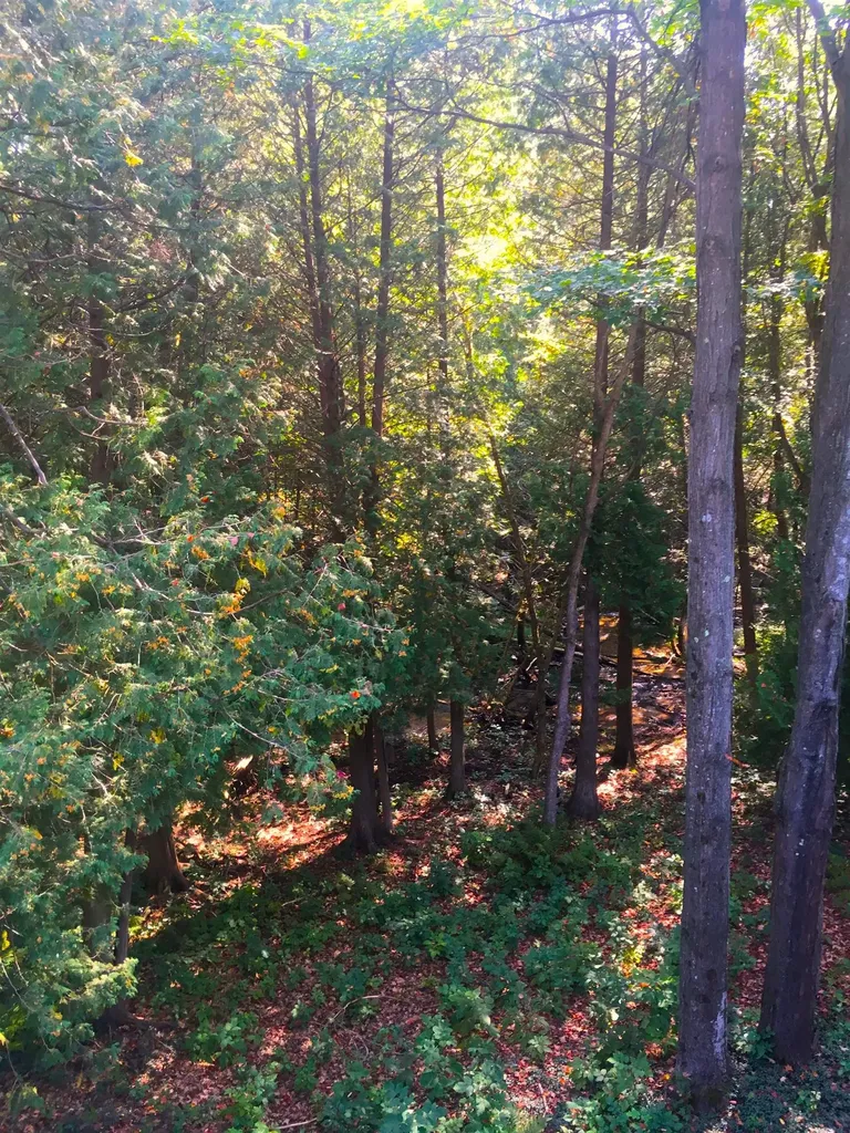 6865 Pinebrook Drive Custer Township MI 49615