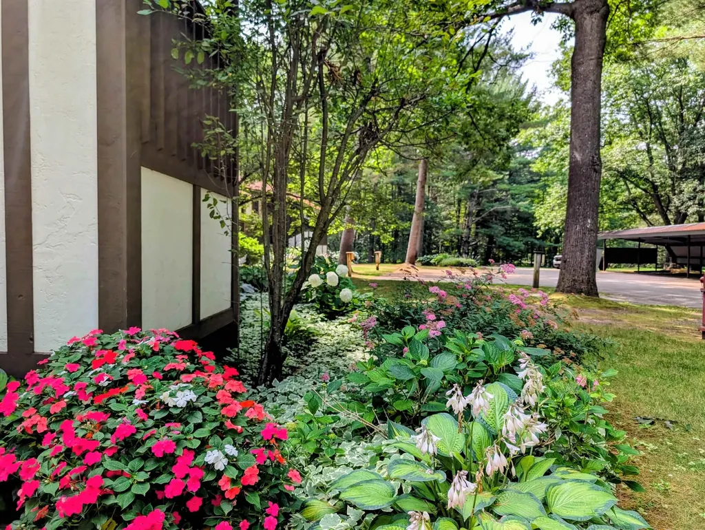 6865 Pinebrook Drive Custer Township MI 49615