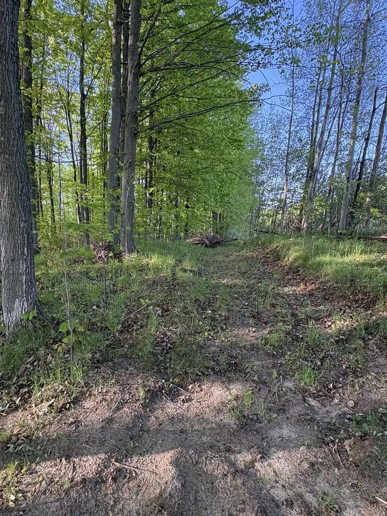 241 N Three Mile Road East Bay Township MI 49696