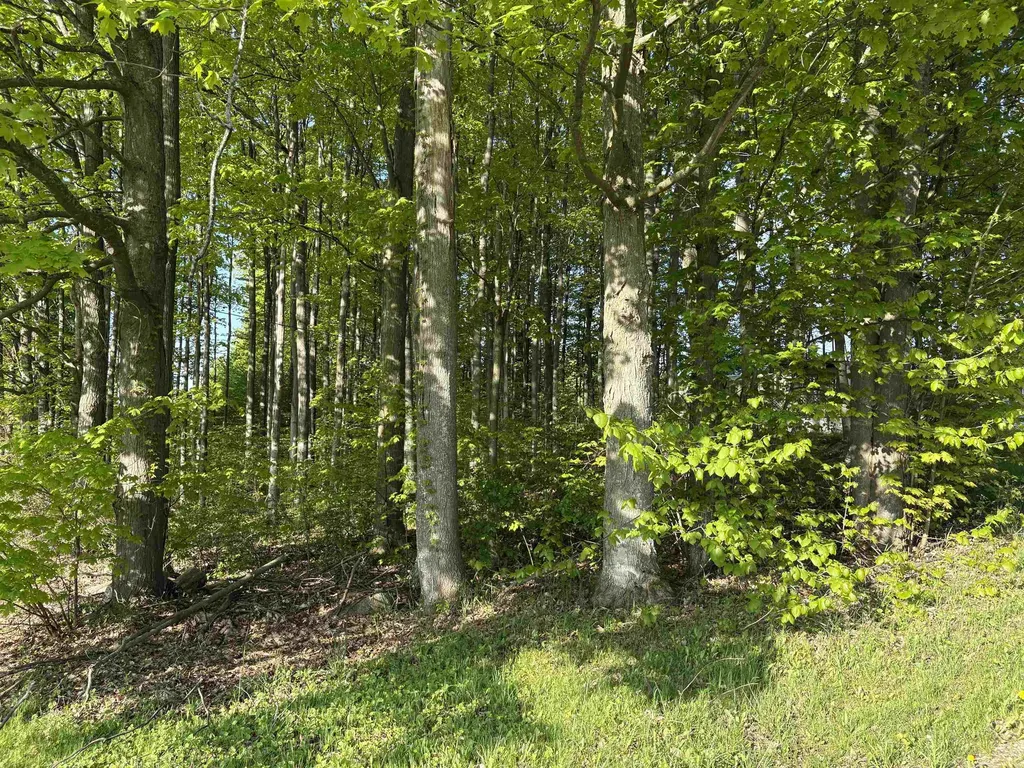 241 N Three Mile Road East Bay Township MI 49696