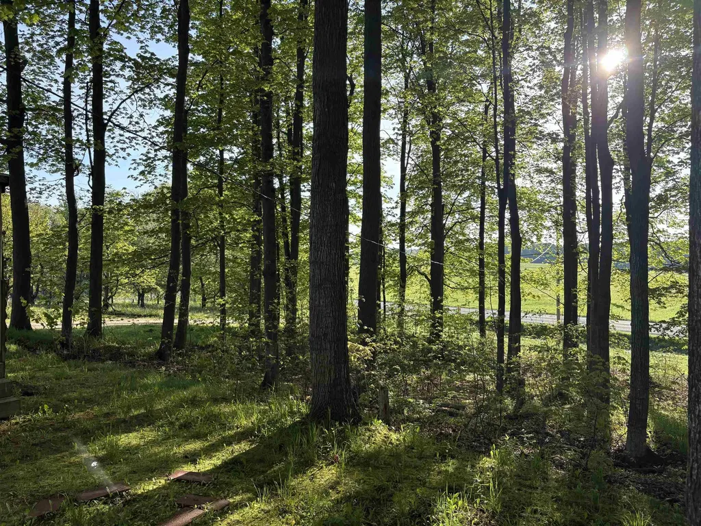 241 N Three Mile Road East Bay Township MI 49696