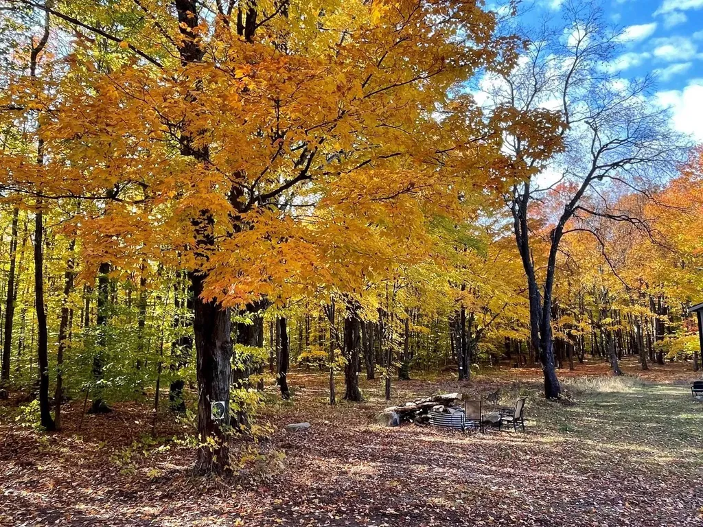 2560 S 25 Road Boon Township MI 49618