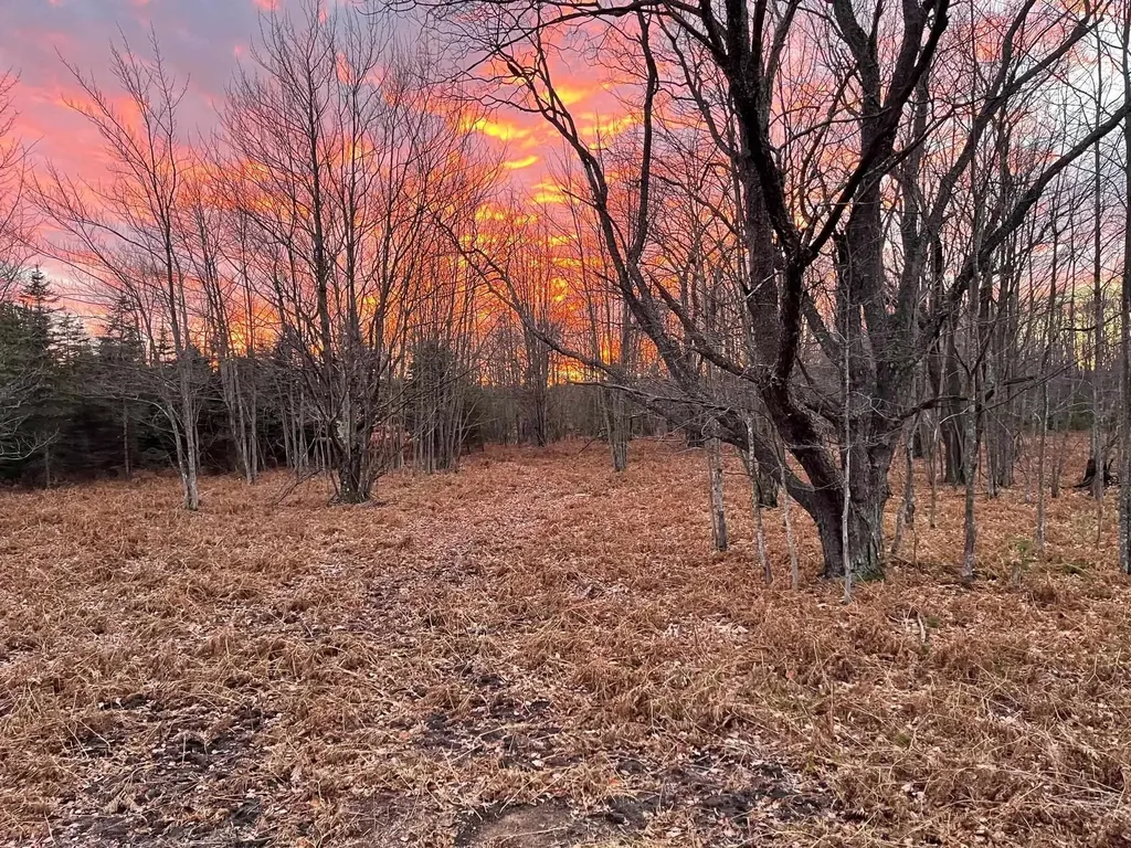2560 S 25 Road Boon Township MI 49618