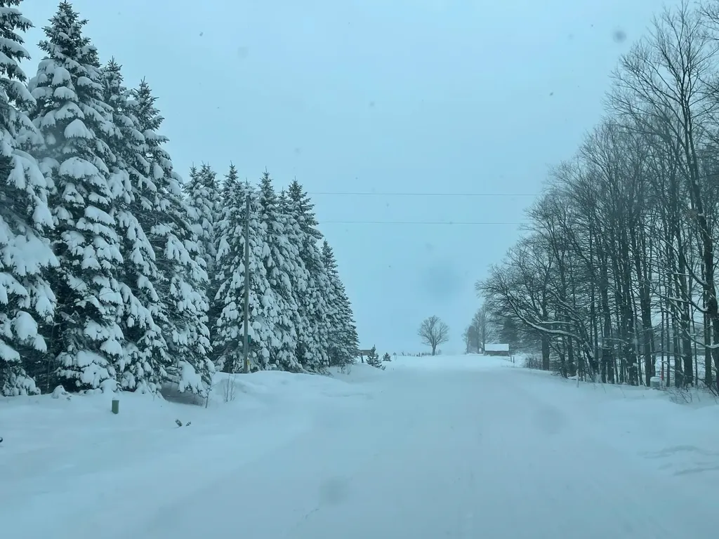 2560 S 25 Road Boon Township MI 49618