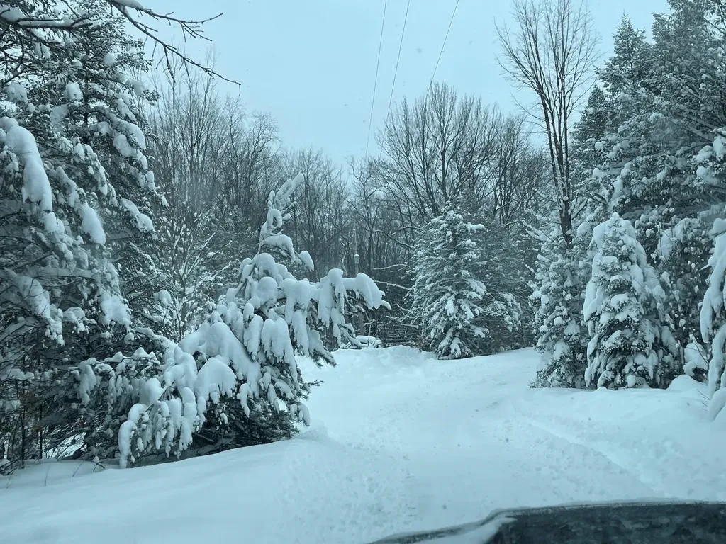 2560 S 25 Road Boon Township MI 49618