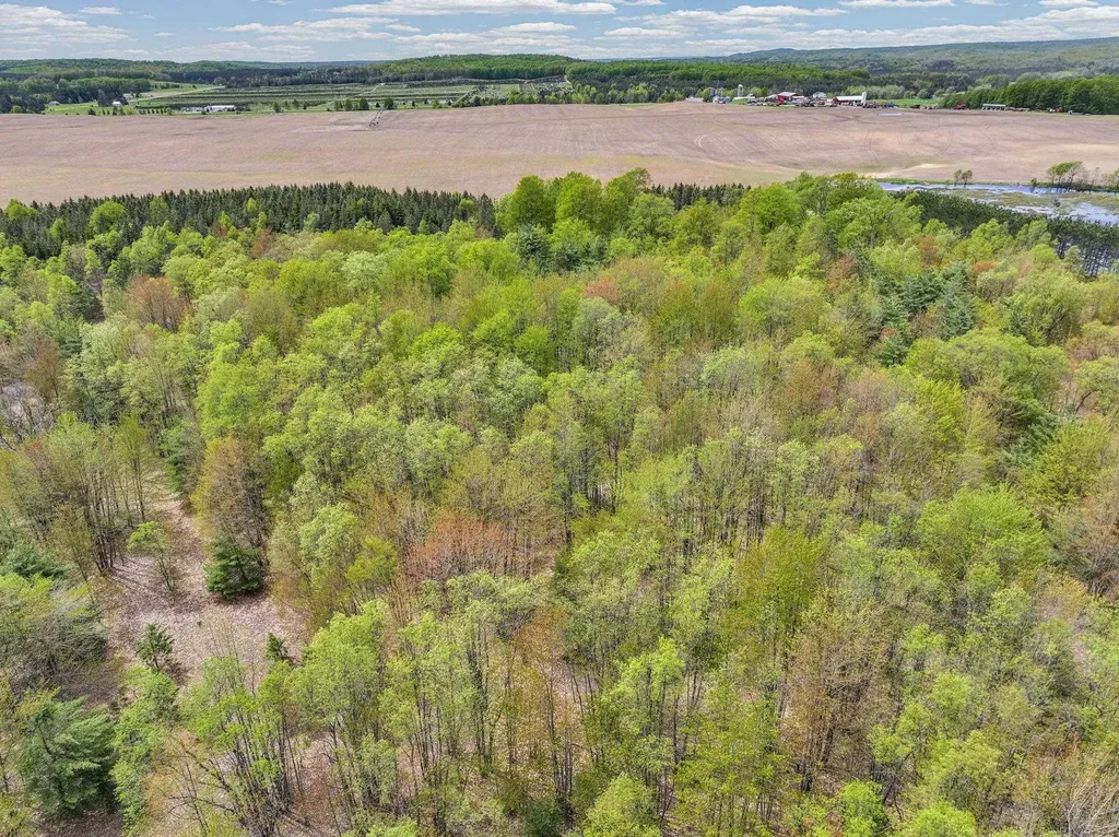 2560 S 25 Road Boon Township MI 49618