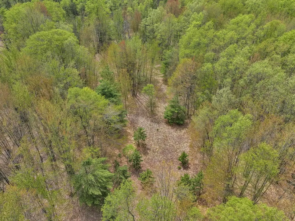 2560 S 25 Road Boon Township MI 49618