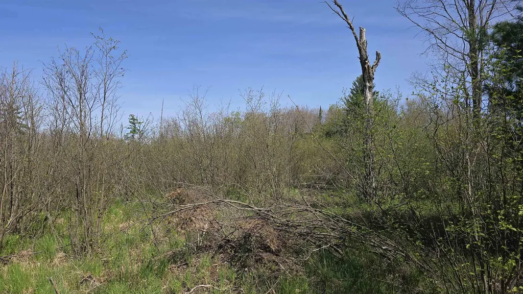 000 Lund Road, SW Springfield Township MI 49633