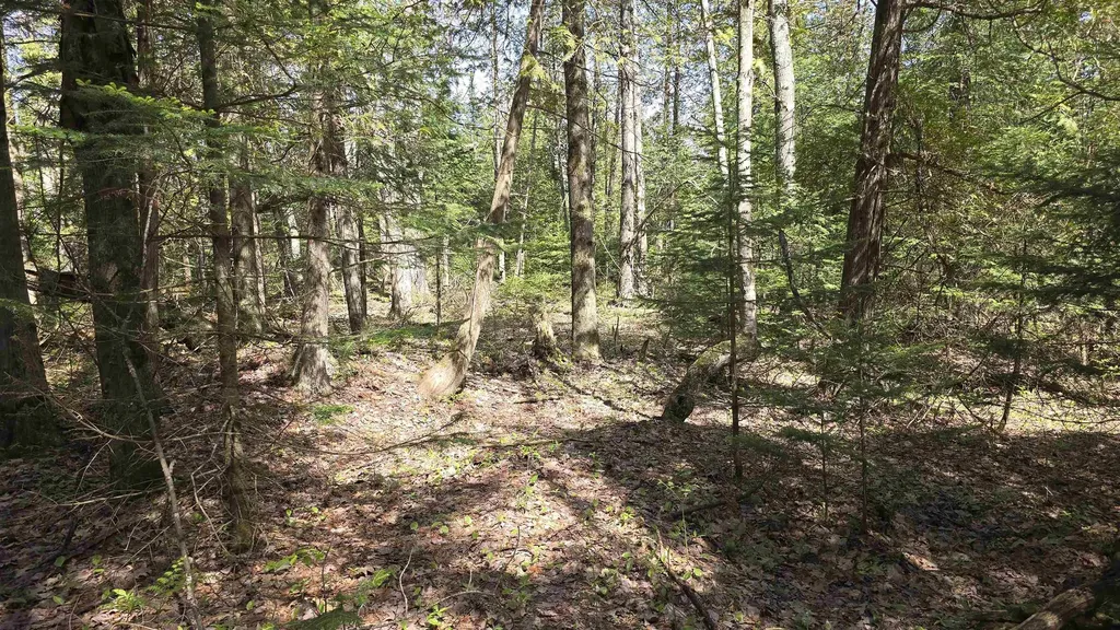 000 Lund Road, SW Springfield Township MI 49633