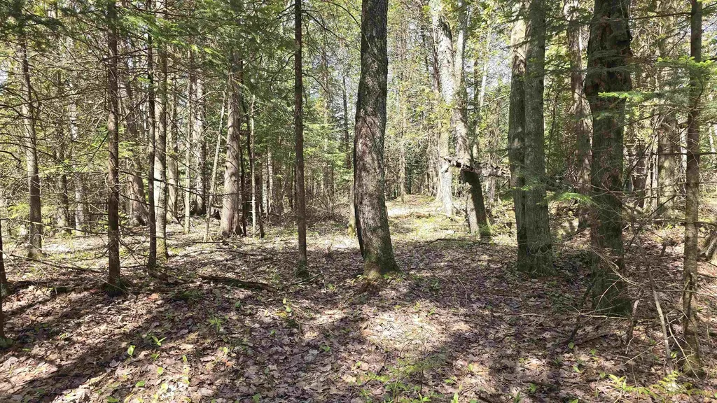 000 Lund Road, SW Springfield Township MI 49633