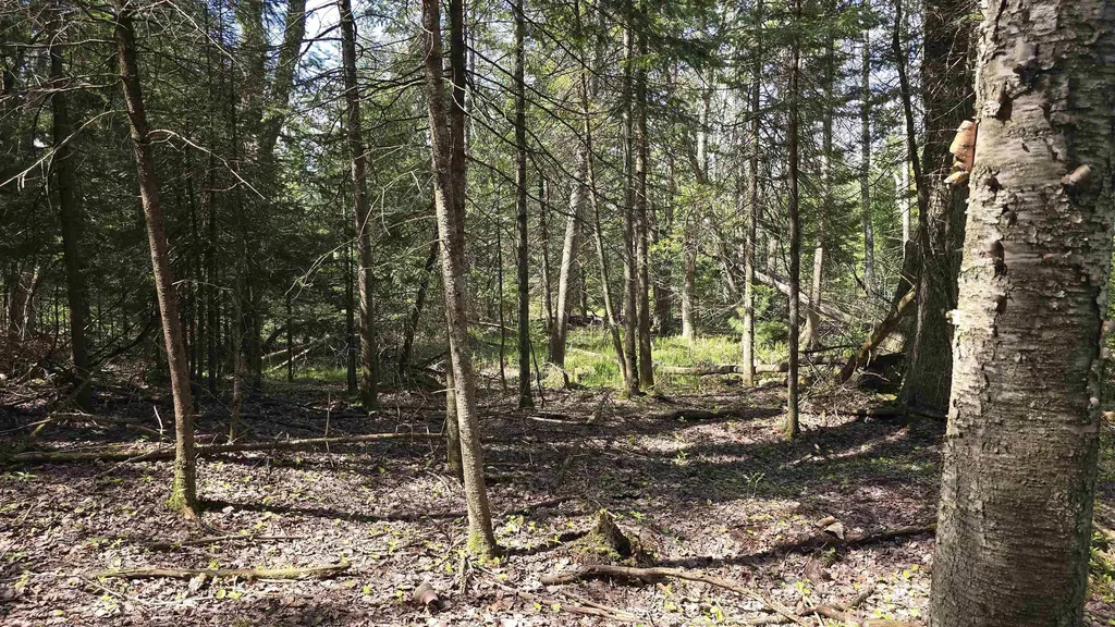 000 Lund Road, SW Springfield Township MI 49633