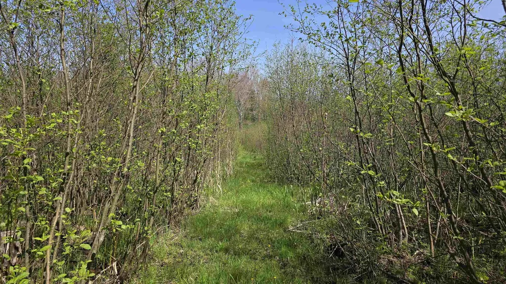 000 Lund Road, SW Springfield Township MI 49633