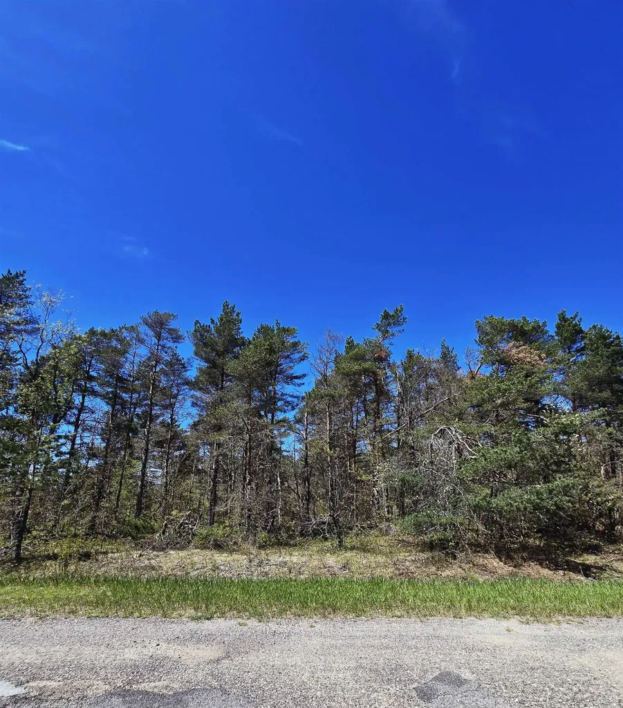 253 Country Club Drive Mancelona Township MI 49659