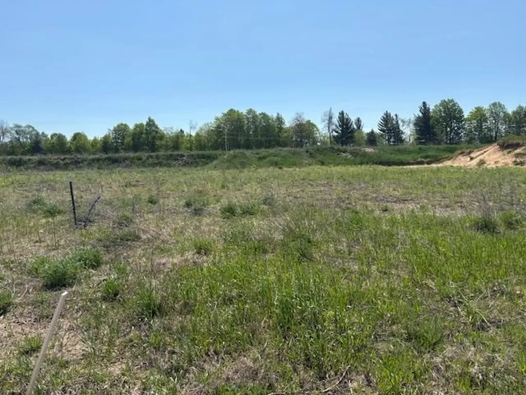 46 Mockingbird Drive Blair Township MI 49685