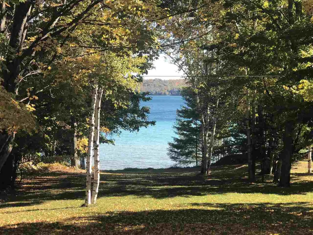 1387 N West Torch Lake Drive Torch Lake Township MI 49648