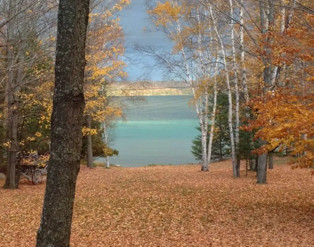 1387 N West Torch Lake Drive Torch Lake Township MI 49648