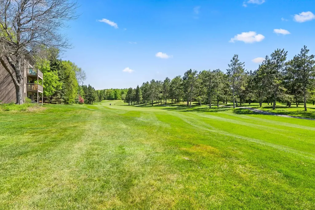 5542 Golfview Court Acme Township MI 49690