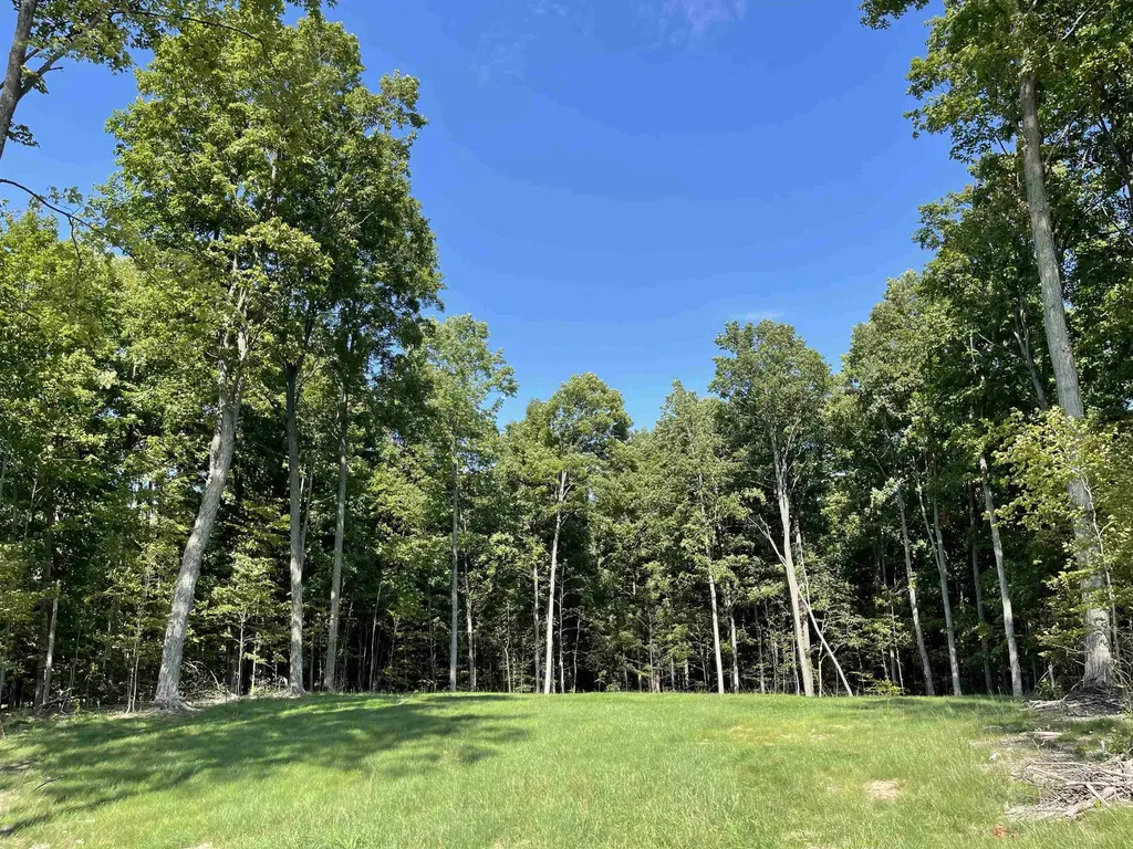 6075 Mountain Sky Road Paradise Township MI 49649
