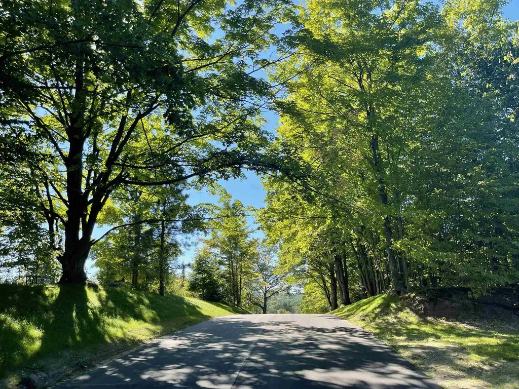 5238 Paradise Ranch Paradise Township MI 49649