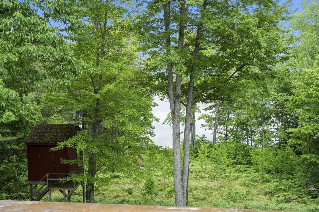 10477 NE Black Bear Road Bear Lake Township MI 49646