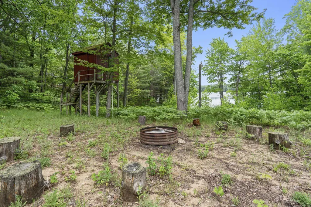 10477 NE Black Bear Road Bear Lake Township MI 49646