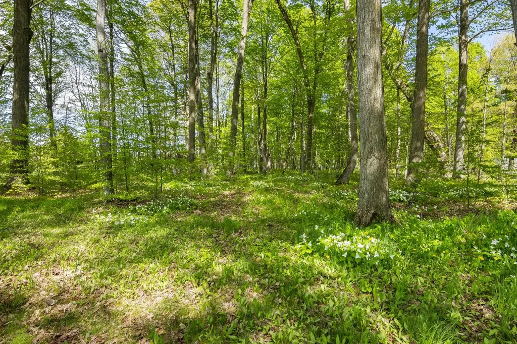 2799 Lake Ann Road Inland Township MI 49643