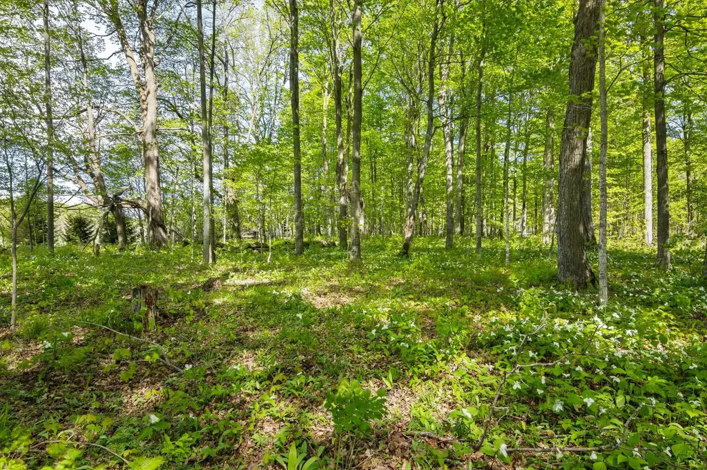 2799 Lake Ann Road Inland Township MI 49643
