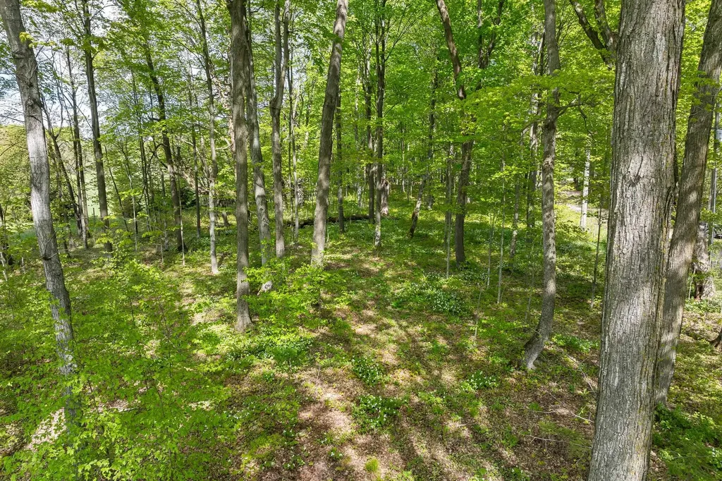2799 Lake Ann Road Inland Township MI 49643