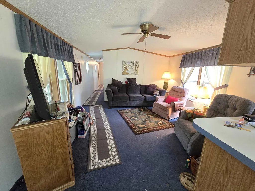 3300 Old M-37 Springville Township MI 49668
