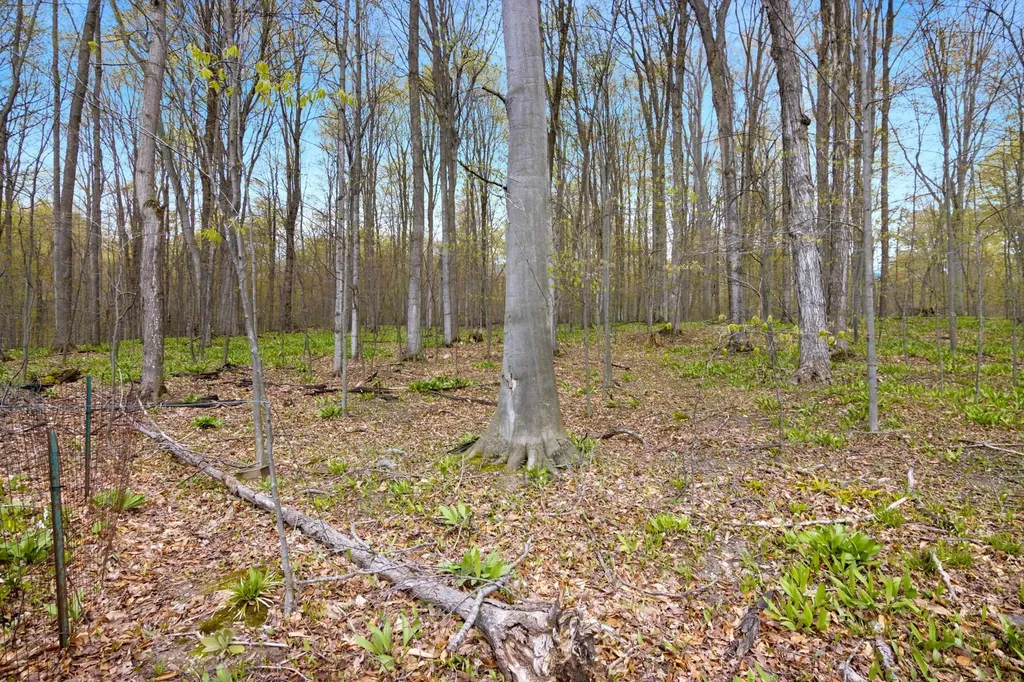 1014 Fairview Road Benzonia Township MI 49617