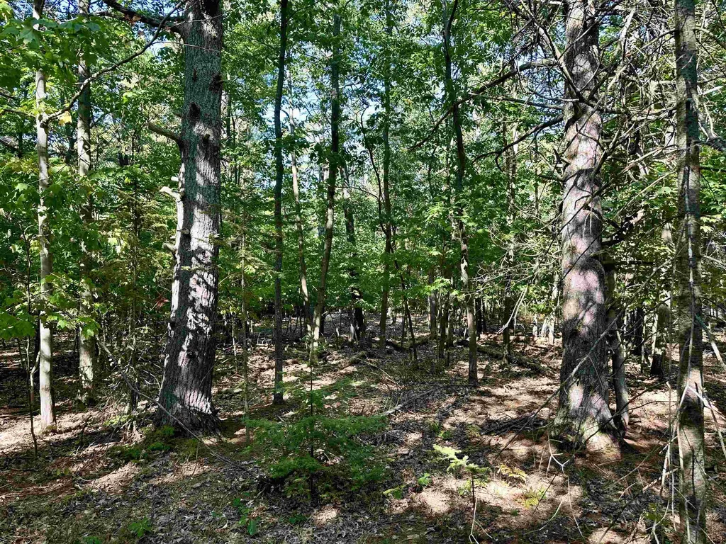 Tbd Kings Highway St. James Township MI 49782