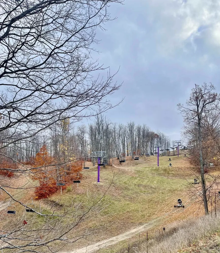 V/l 151 Olympia Fields Custer Township MI 49615