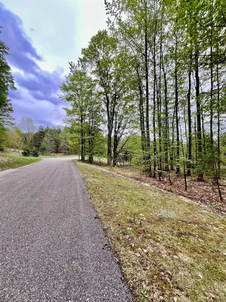 V/l 151 Olympia Fields Custer Township MI 49615
