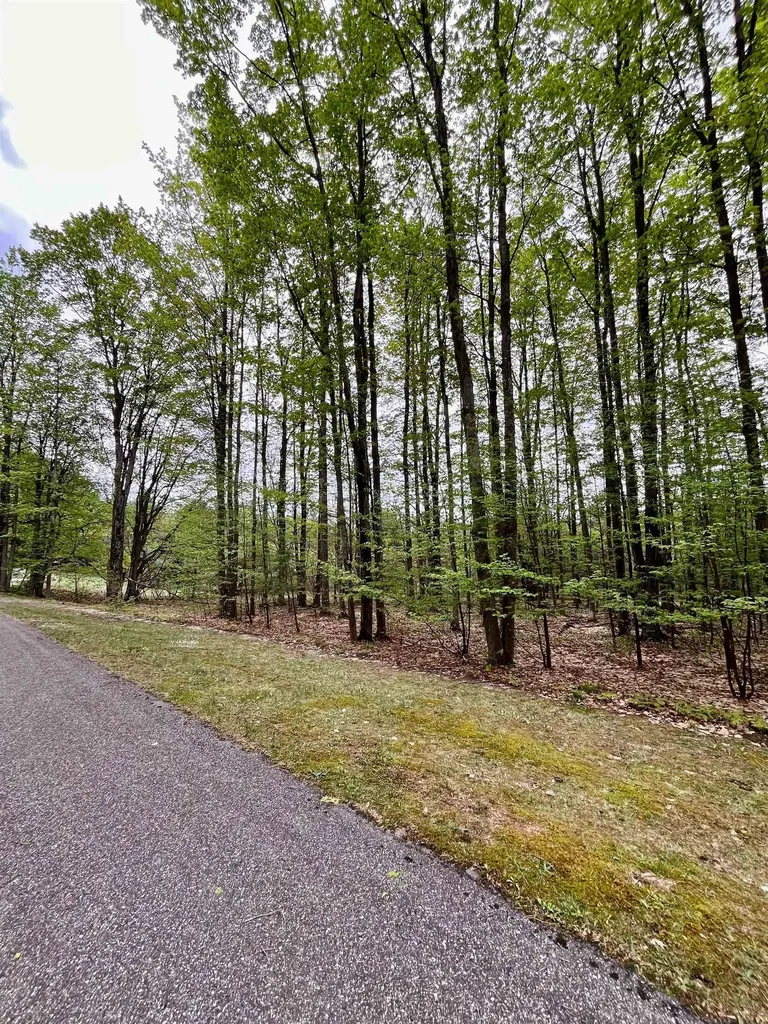 V/l 151 Olympia Fields Custer Township MI 49615