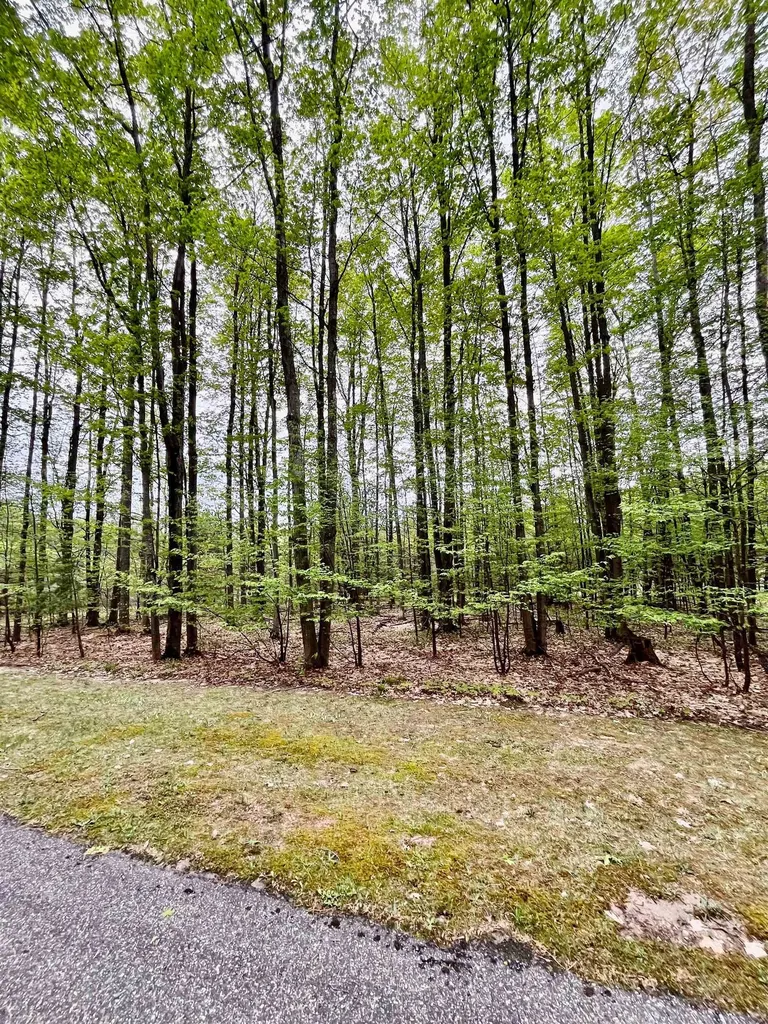 V/l 151 Olympia Fields Custer Township MI 49615