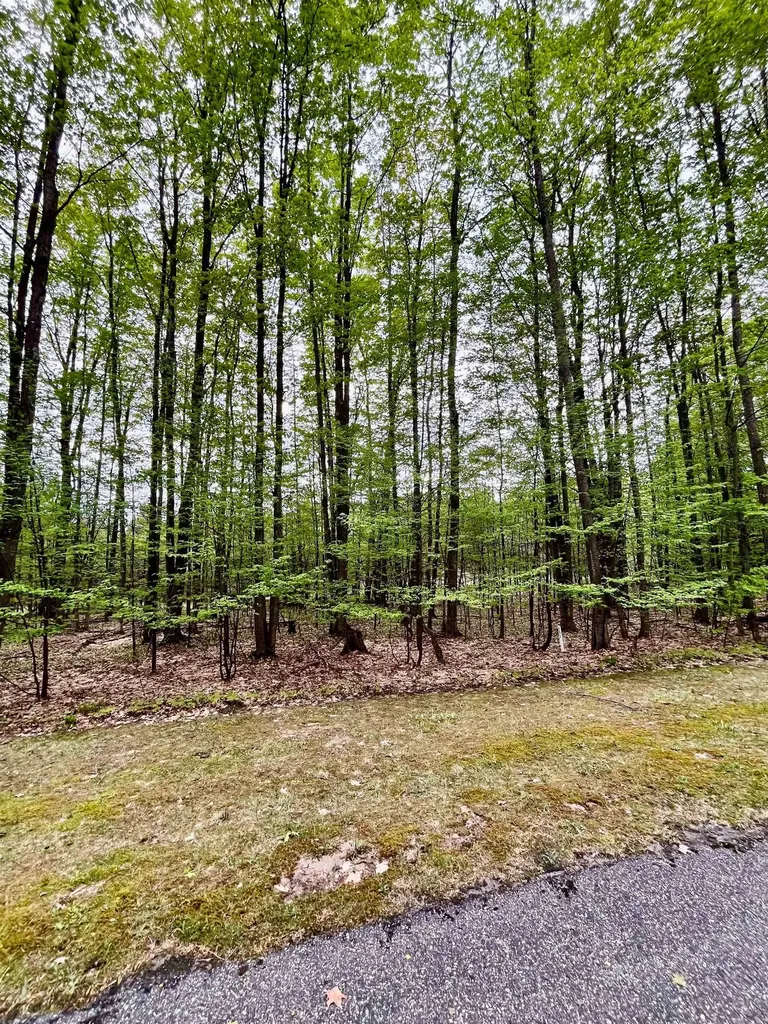V/l 151 Olympia Fields Custer Township MI 49615