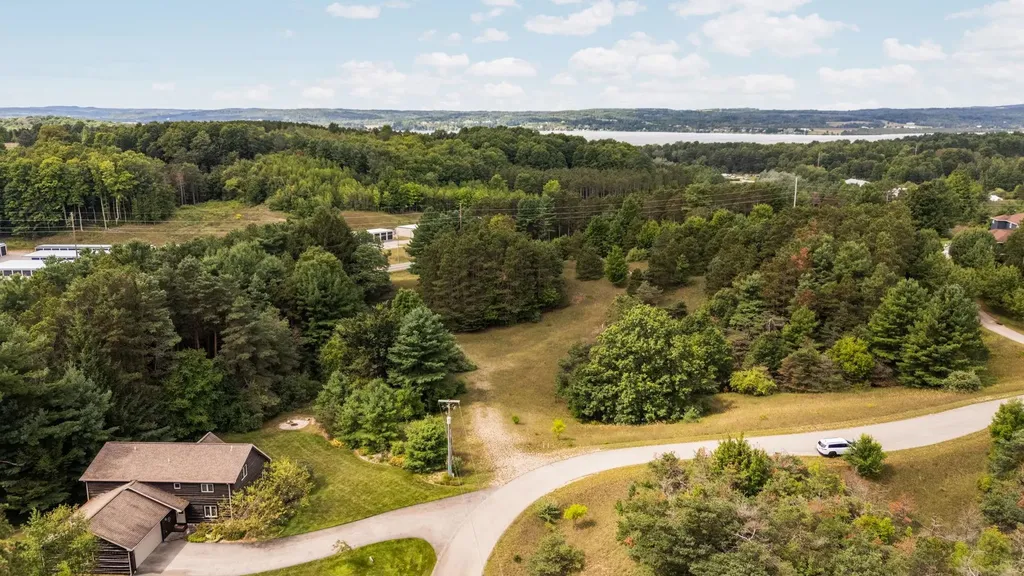 Lots 1 & 3 E Bingham Valley Drive Bingham Township MI 49684